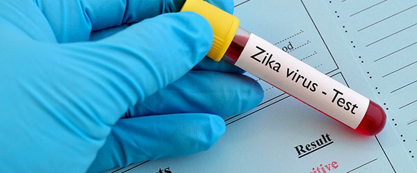 Bağışlanan tüm kanlarda Zika virüsü bakılacak