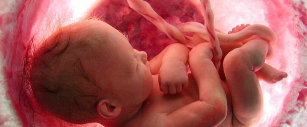Bir bebeğin kalbi ilk kez ne zaman atıyor?