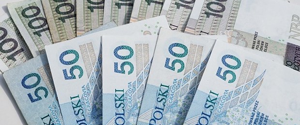 ab polonya vergi inceleme.jpg