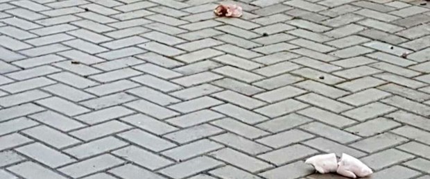 almanya cami domuz saldırı190317.jpg