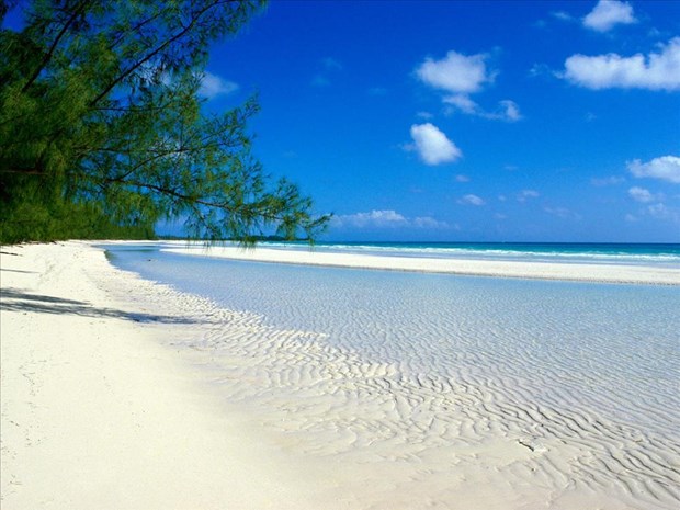 Bahamalar