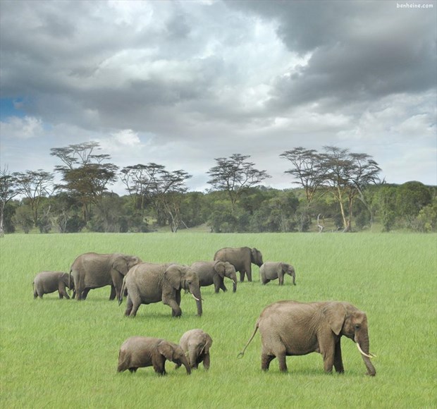 Kenya