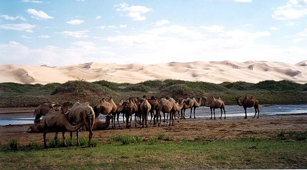 Moğolistan