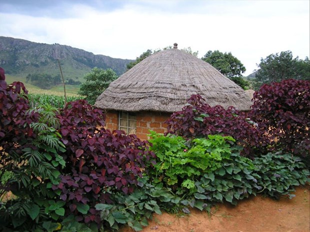 Svaziland
