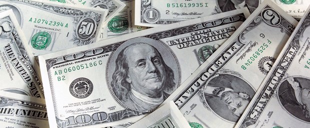 dolar101.jpg