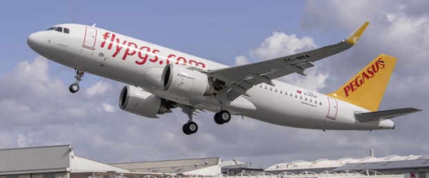 pegasus1.jpg