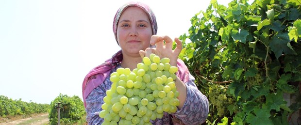 üzüm.jpg