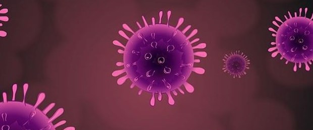 Bulaştırmadan tedavi olun! (Genital siğiller.jpg