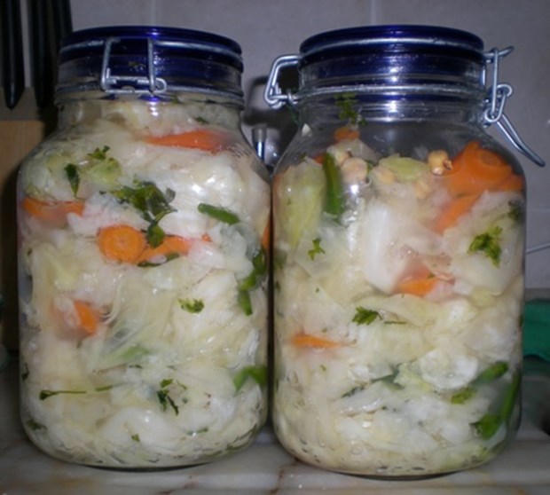 KANSERE KARŞI KORUYUCU