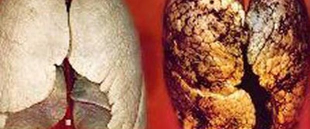 'Fotoğraflar yeterince caydırıcı değil'