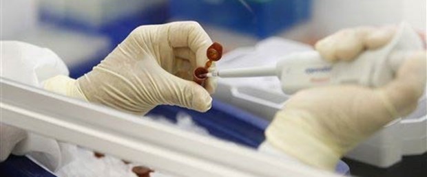 Isparta'da domuz gribinden 3. ölüm