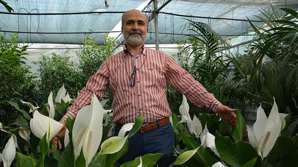 Prof. Dr. Murat Zencirkıran
