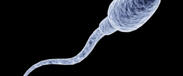 Kök hücreyle sağlıklı sperm