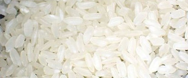 Pirinçten albümin üretildi