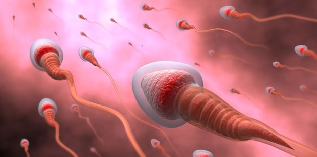 Sex before iui donor sperm