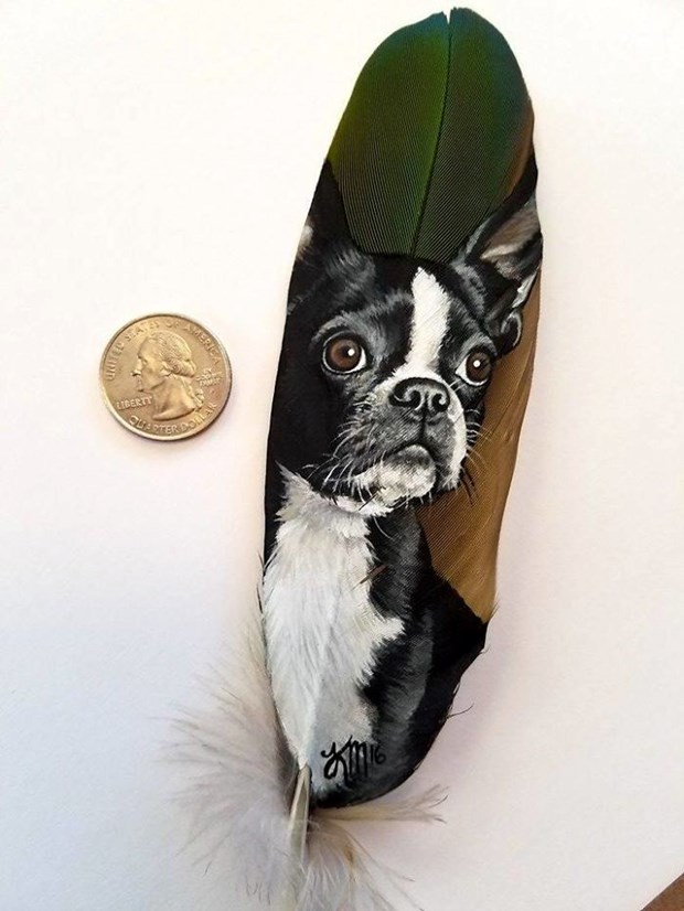 Boston Terrier