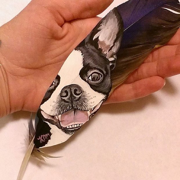 Boston Terrier