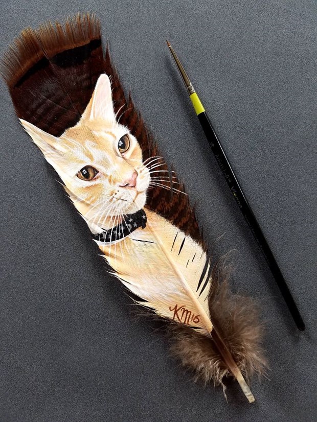 Hindi tüyü üzerinde kedi