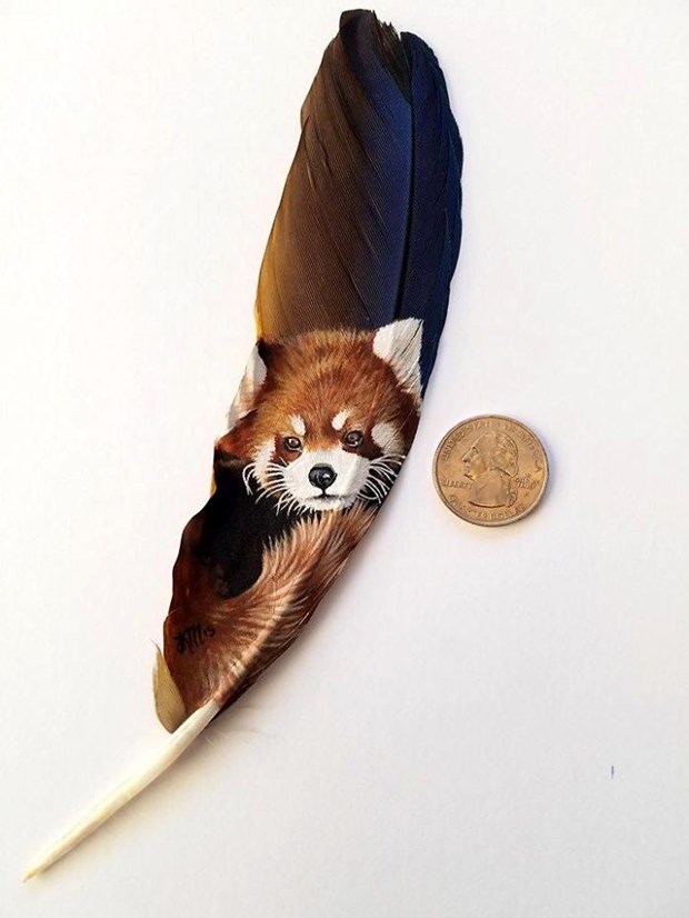 Kırmızı Panda