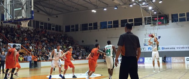dogus.jpg