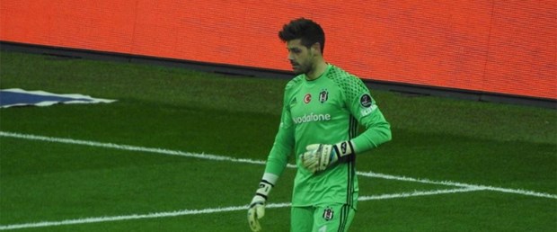 fabri.jpg
