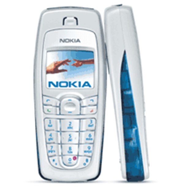 15- Nokia 6010