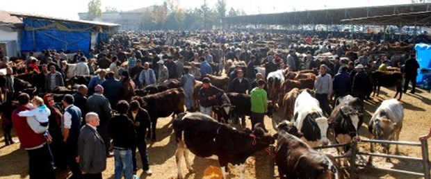 Besiciler fiyatlardaki düşüşe karşı
