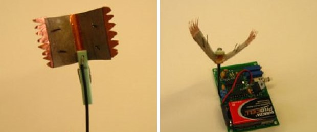 Böcek 'yiyerek' çalışan robot