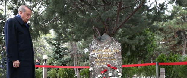 erdoğan türkeş.jpg