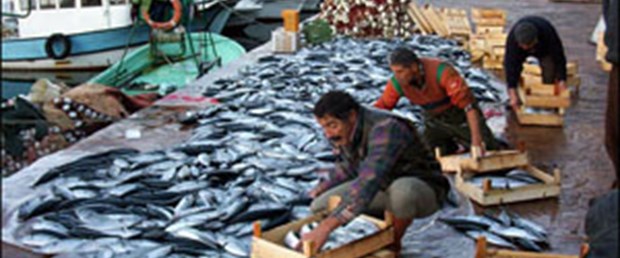 Kumkapı Balık Hali taşınıyor