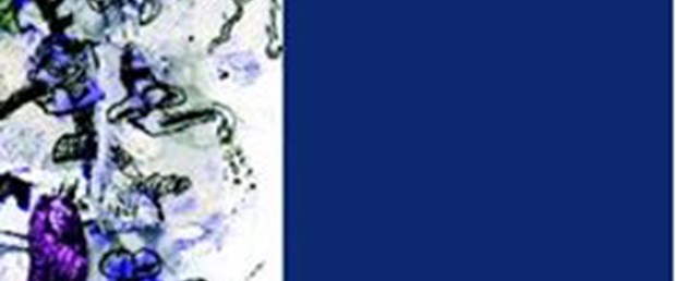 Palahniuk'tan 'Tekinsiz' bir kitap