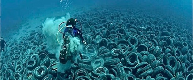'Plastikler zehiri sünger gibi emiyor'