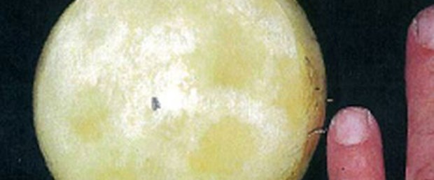 Restoranını NASA bastı