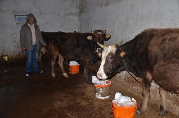 Muş'ta yaşanan yoğun kar yağışı Kumluca köylülerini 3 gündür hem elektriksiz, hem de susuz bıraktı. Köylüler, karları soba üzerinde eriterek su ihtiyaçlarını karşılama çalışıyor. ,Vdka6aDiJUuyLnlmsUCJbw