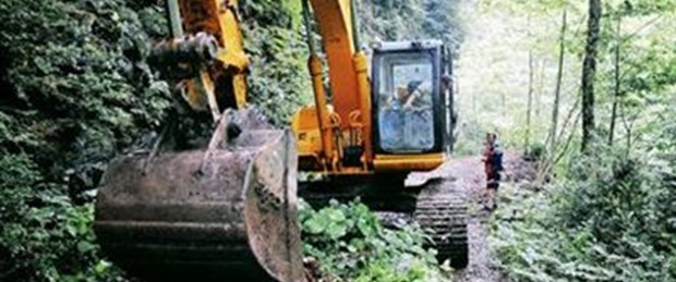 Türkiye’nin yağmur ormanlarını kestirme!