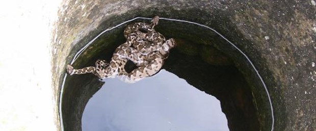 yilan kuyu.jpg