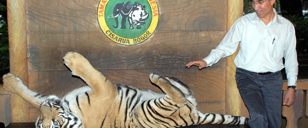 Cakarta'daki safari park halkın ilgi odağı oldu