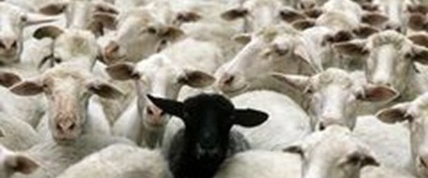Kavurmalar Van'daki depremzedelere