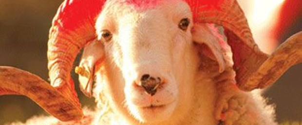 Sokaktan saraya Osmanlı'da Kurban Bayramı
