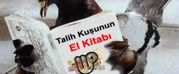 Talih kuşu uçuşa geçiyor