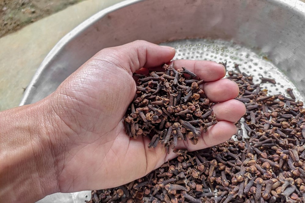 Her gün bir karanfil çiğnerseniz ne olur? Şaşırtıcı özellikleri var - 1