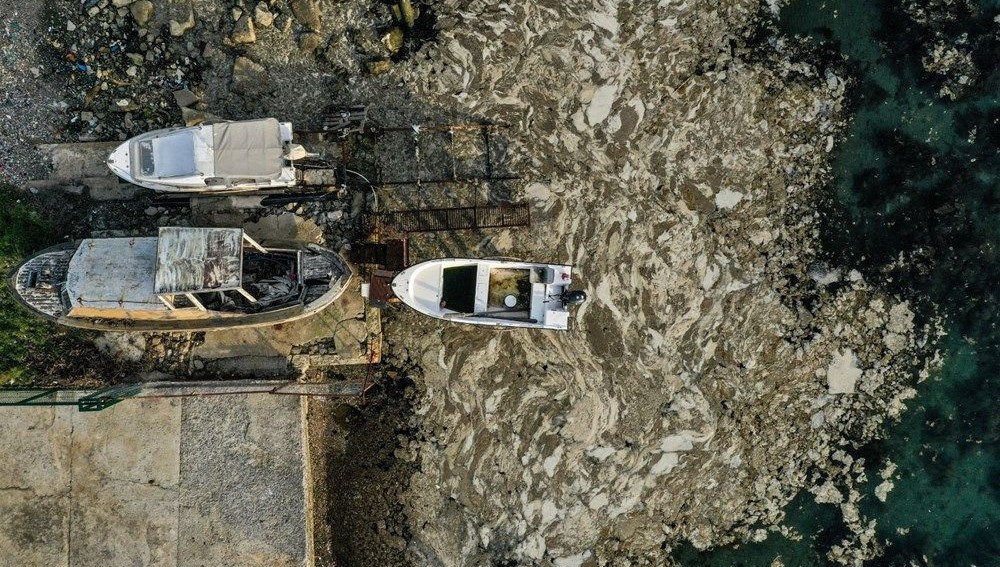 Marmara'dan sonra şimdi de Ege'de: Müsilaj tehlikesi büyüyor mu? | NTV
