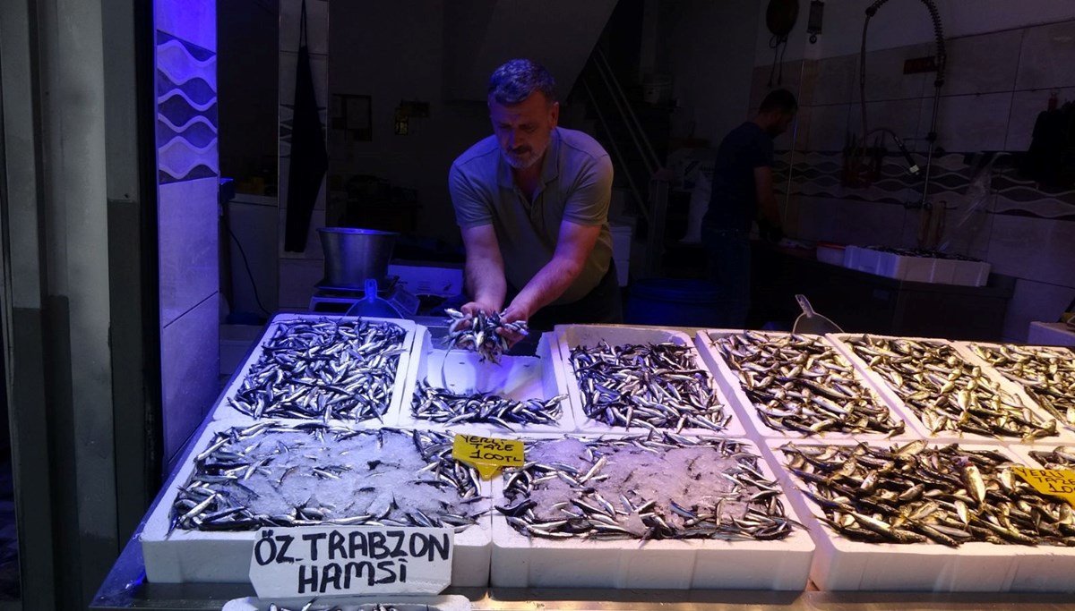Karadeniz'de avı bollaştı, hamsi fiyatı düştü