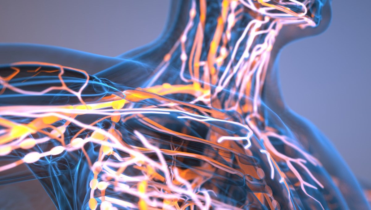 24 saat boyunca aç kalırsak ne olur? Vücuda etkileri inanılmaz