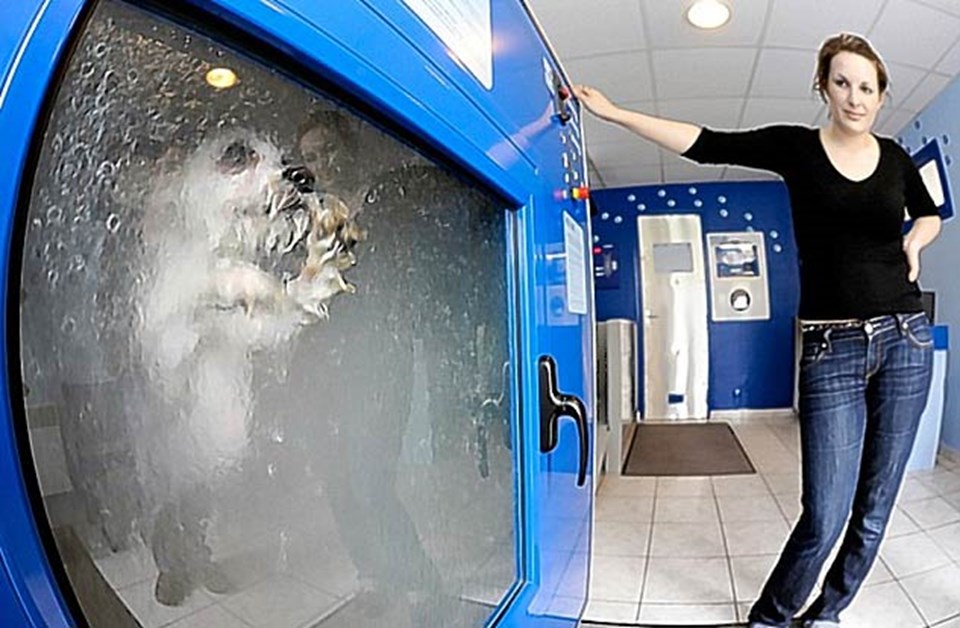 Bu da köpek yıkama makinesi - 3