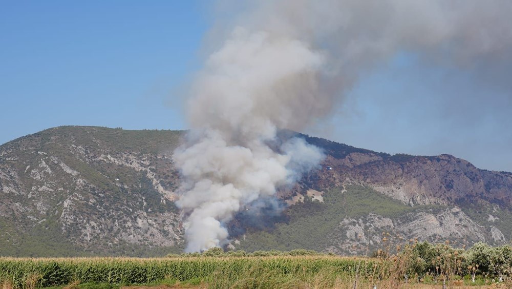 Muğla ve Aydın’da yangın (Havadan ve karadan müdahale ediliyor) - 2