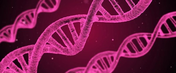 DNA örneğinden saç, göz ve cilt rengini tahmin eden cihaz