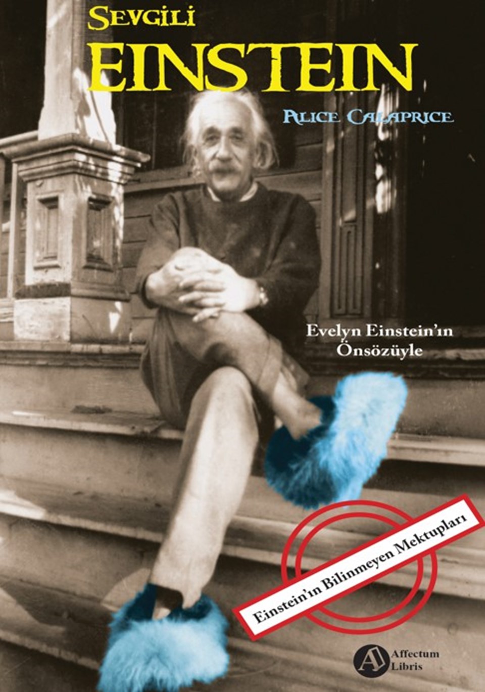 Einstein'ın bilinmeyen mektupları, Sevgili Einstein'da - 1