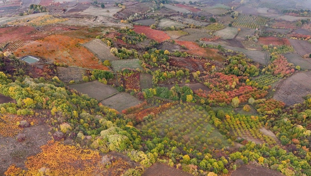 Eşsiz manzarası büyüledi: Doğal güzellik ortaya çıktı