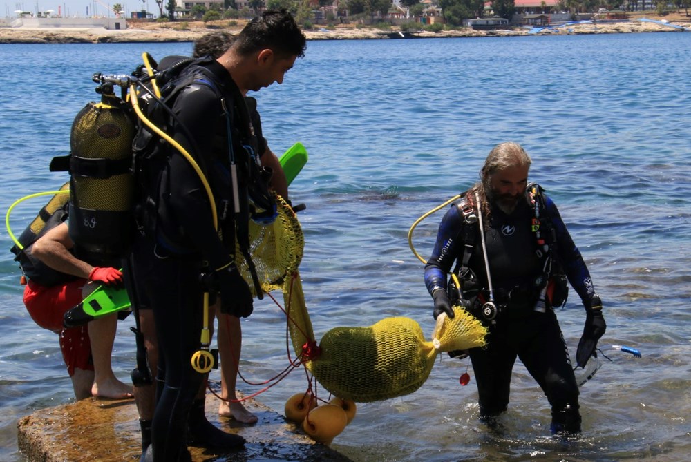 Akdeniz'de dikenli zehirli deniz kestanesi istilası - 12